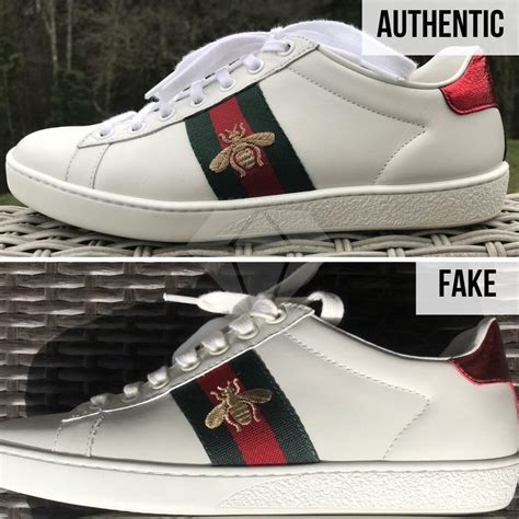 fake gucci sneakers australia